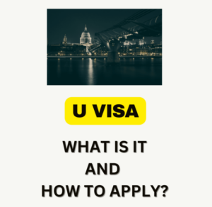 U - Visa